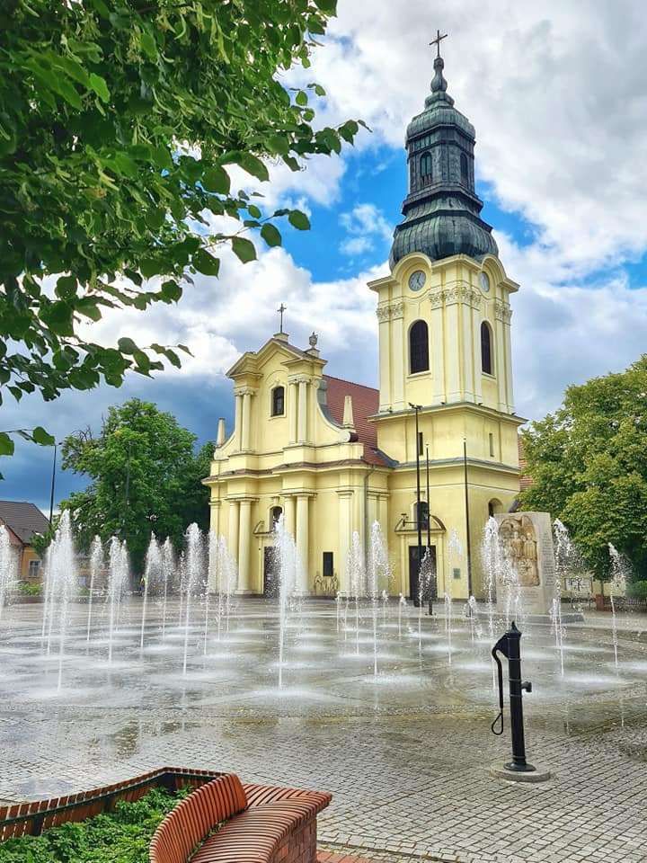 fordon rynek2 m.orzechowski