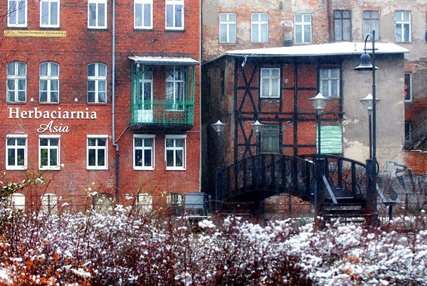 Wyspa Młyńska zimą